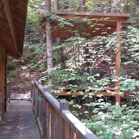 Les Cabanes Des Pins Sylvestres Saint-Martin-Vésubie Zewnętrze zdjęcie