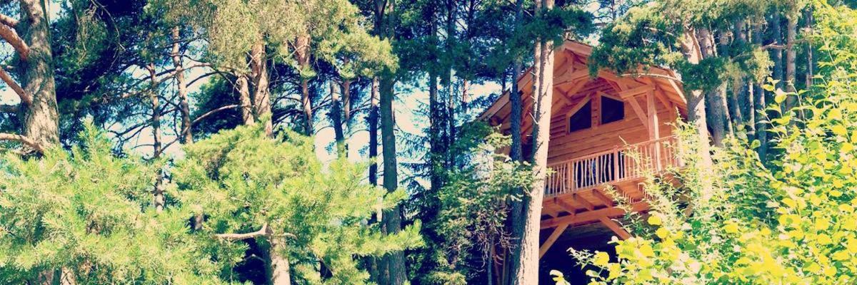 Les Cabanes Des Pins Sylvestres Saint-Martin-Vésubie Zewnętrze zdjęcie